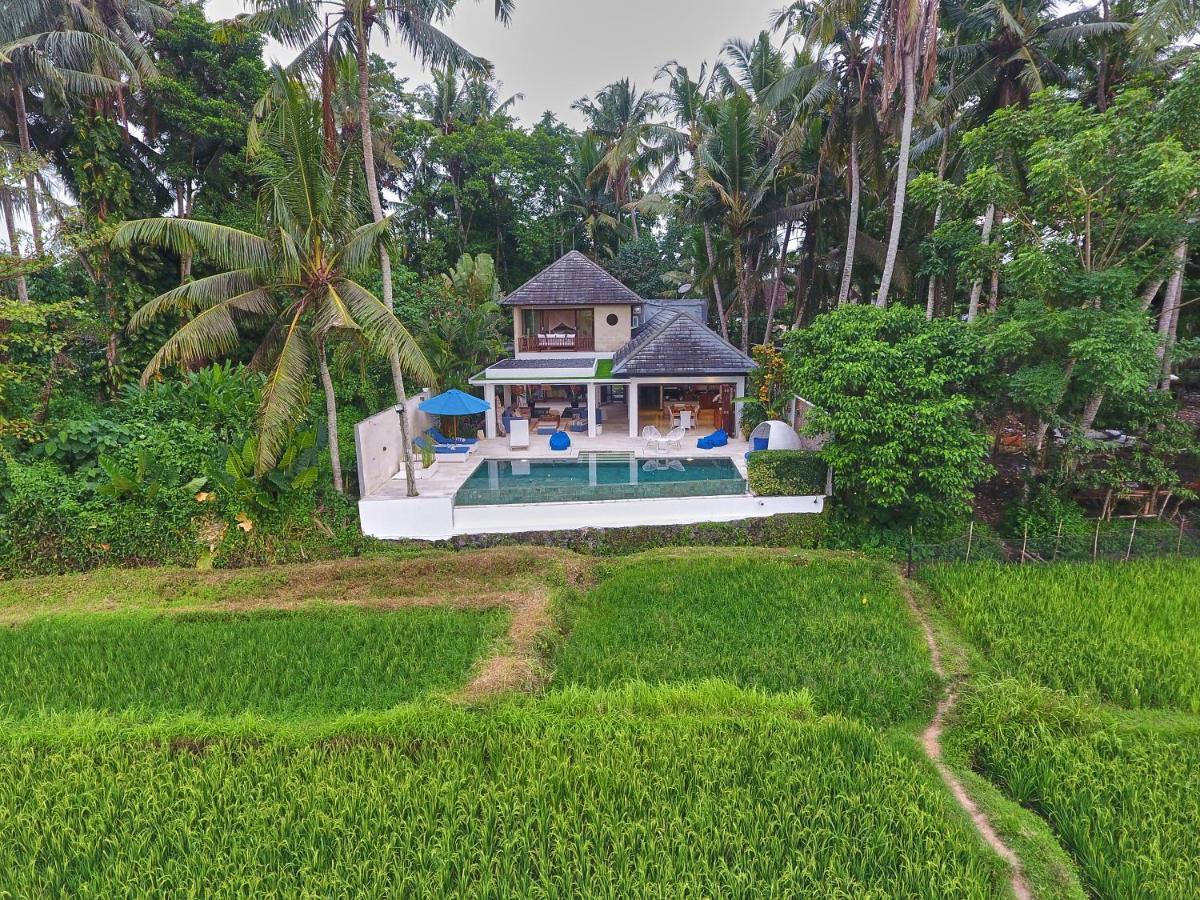 Villa Balinese Luxurious Elegance Ubud Exterior foto